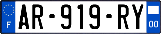 AR-919-RY
