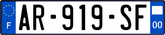 AR-919-SF