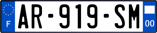 AR-919-SM