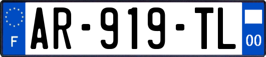 AR-919-TL