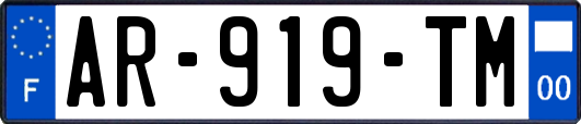 AR-919-TM