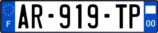 AR-919-TP