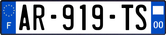 AR-919-TS
