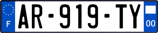 AR-919-TY
