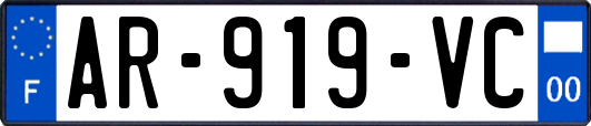 AR-919-VC