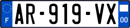 AR-919-VX