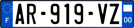 AR-919-VZ