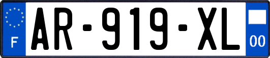 AR-919-XL