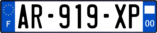 AR-919-XP