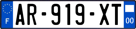 AR-919-XT