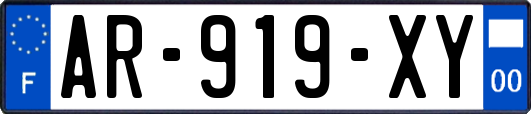 AR-919-XY