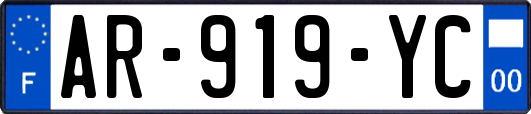 AR-919-YC