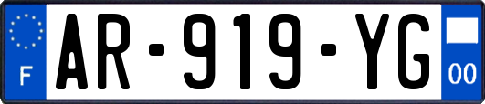 AR-919-YG