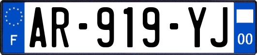 AR-919-YJ