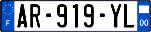AR-919-YL
