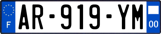 AR-919-YM