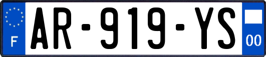 AR-919-YS