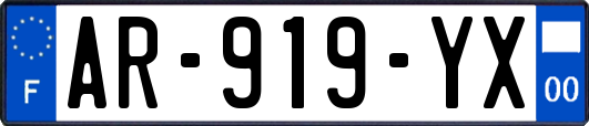 AR-919-YX