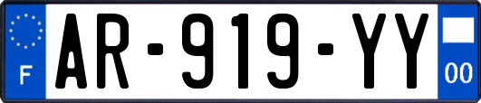 AR-919-YY