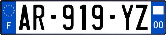 AR-919-YZ