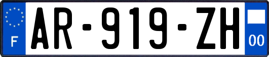 AR-919-ZH
