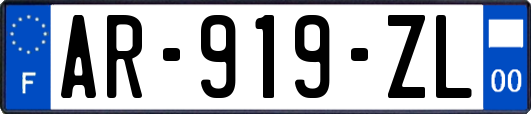 AR-919-ZL