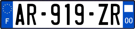 AR-919-ZR