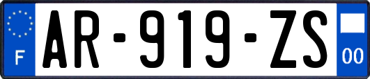 AR-919-ZS