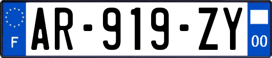 AR-919-ZY