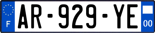 AR-929-YE