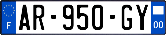 AR-950-GY