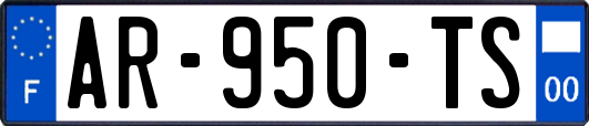 AR-950-TS