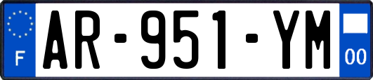 AR-951-YM