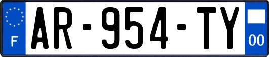 AR-954-TY