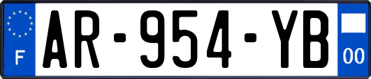 AR-954-YB