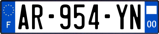 AR-954-YN