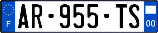 AR-955-TS
