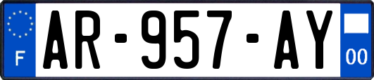 AR-957-AY
