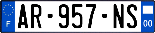 AR-957-NS