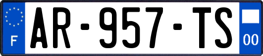 AR-957-TS