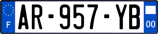 AR-957-YB