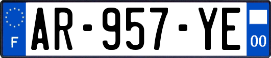 AR-957-YE