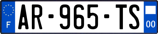 AR-965-TS