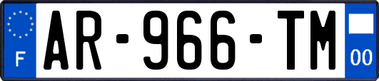 AR-966-TM