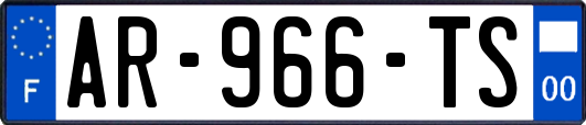 AR-966-TS