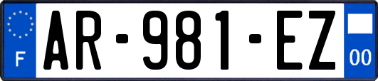 AR-981-EZ