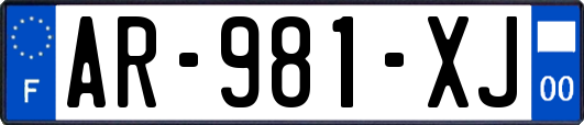 AR-981-XJ