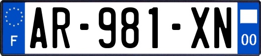 AR-981-XN