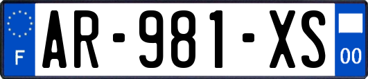 AR-981-XS
