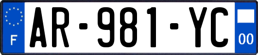 AR-981-YC